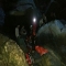 پیکر کوهنورد سقوط کرده به دره آبشار «اوتره» رامیان پیدا شد